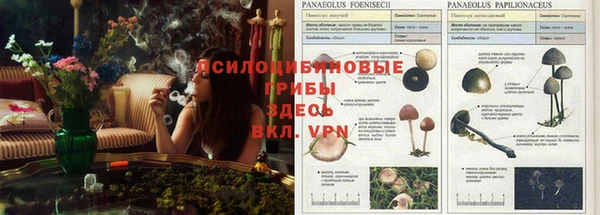 дистиллят марихуана Нефтекумск