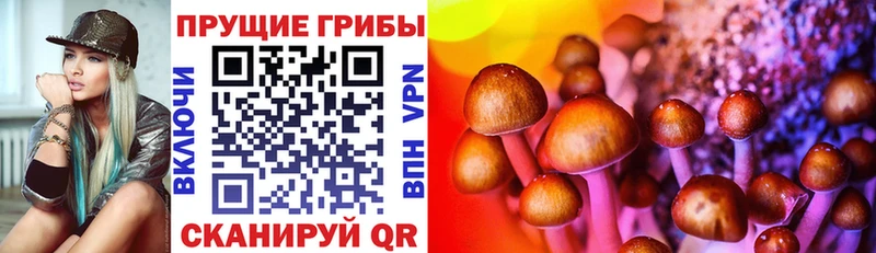 Галлюциногенные грибы мицелий  купить   blacksprut вход  Чишмы 